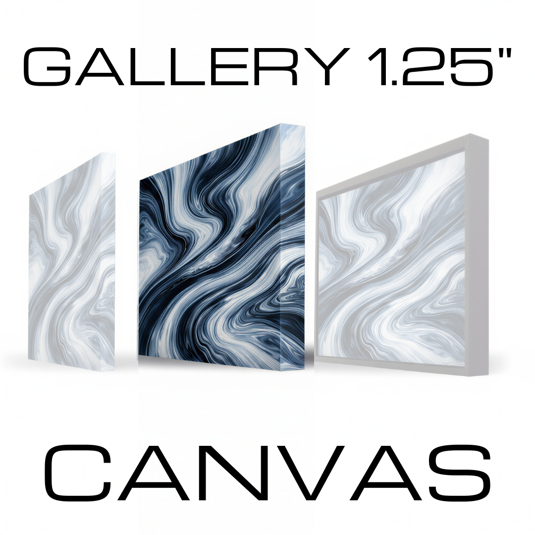 Canvas Wall Art - Blank Canvas in Gallery