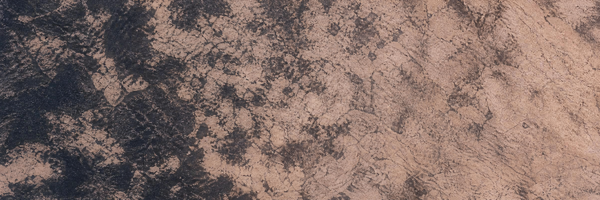 REMNANT artwork detail systems teaser banner