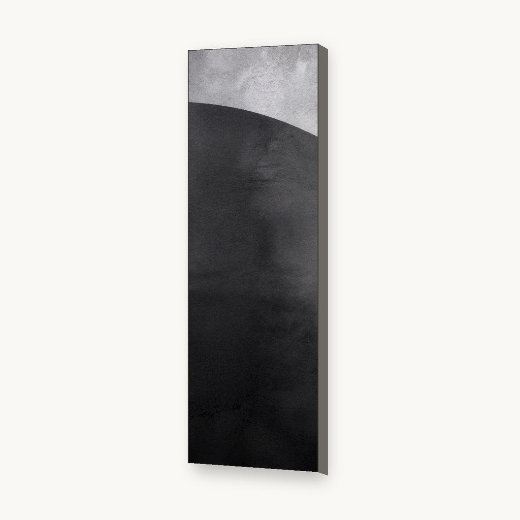 POLAR Panel 2 profile mockup