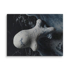 ASTEROID — Canvas, 12×16