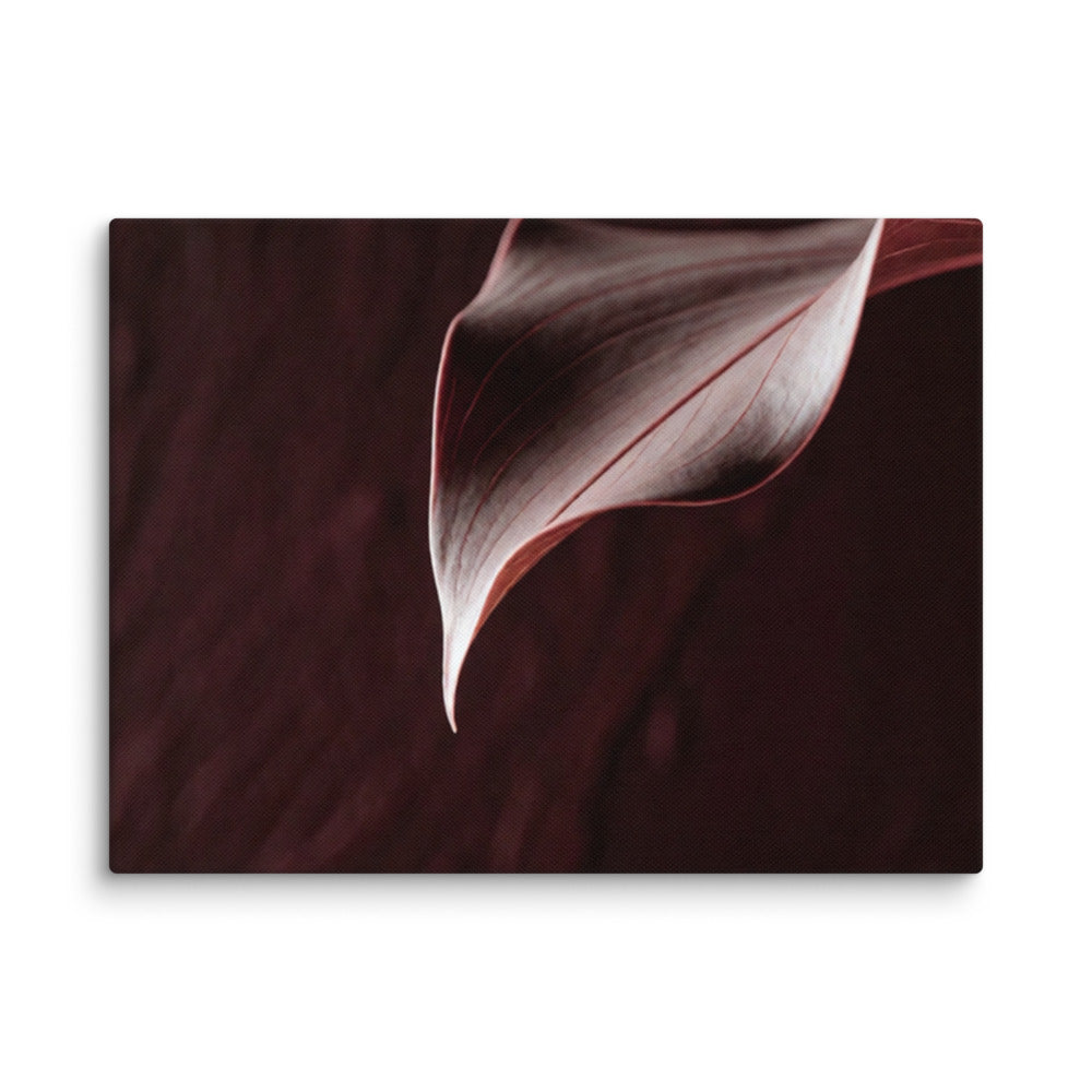 CRU — Canvas, 12×16