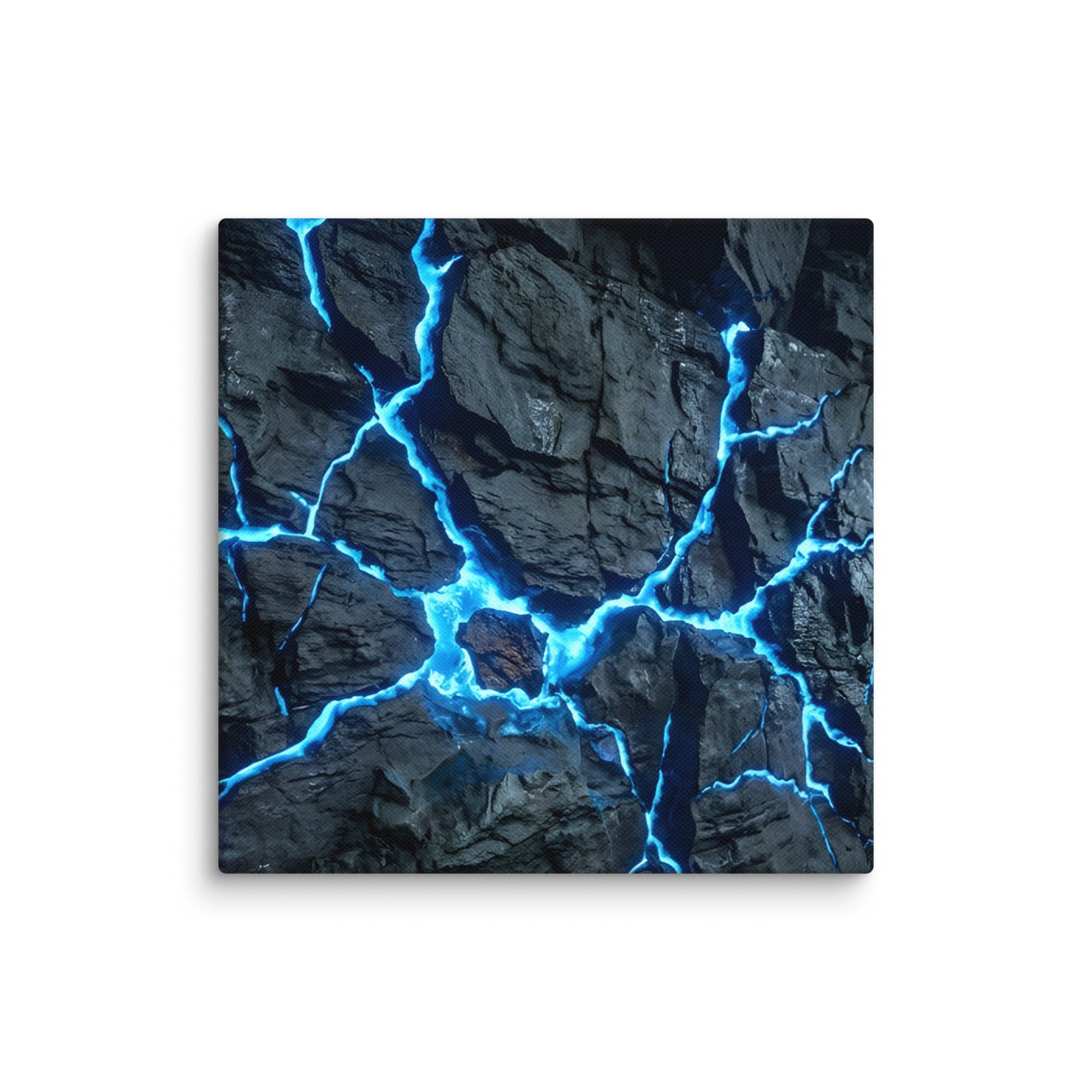 Vesicle canvas print with product details shown in 14 x 14 inch universal size