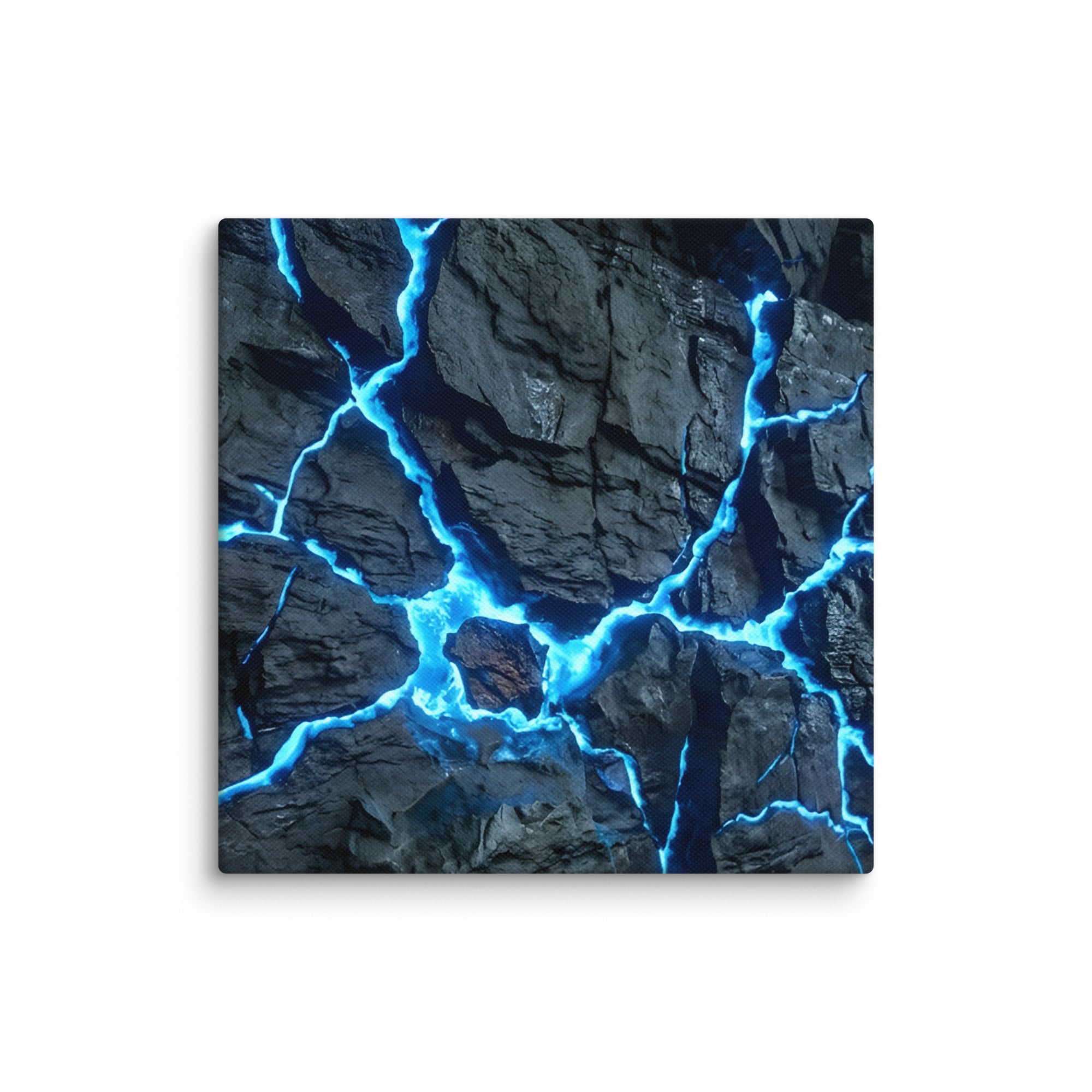 Vesicle canvas print with product details shown in 37 x 37 inch statement piece