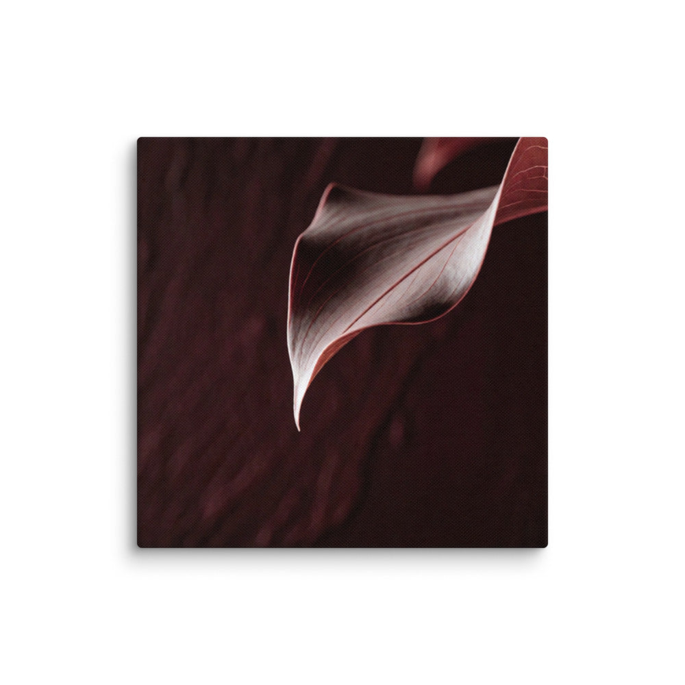 CRU — Canvas, 16×16