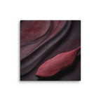 CASK — Canvas, 16×16
