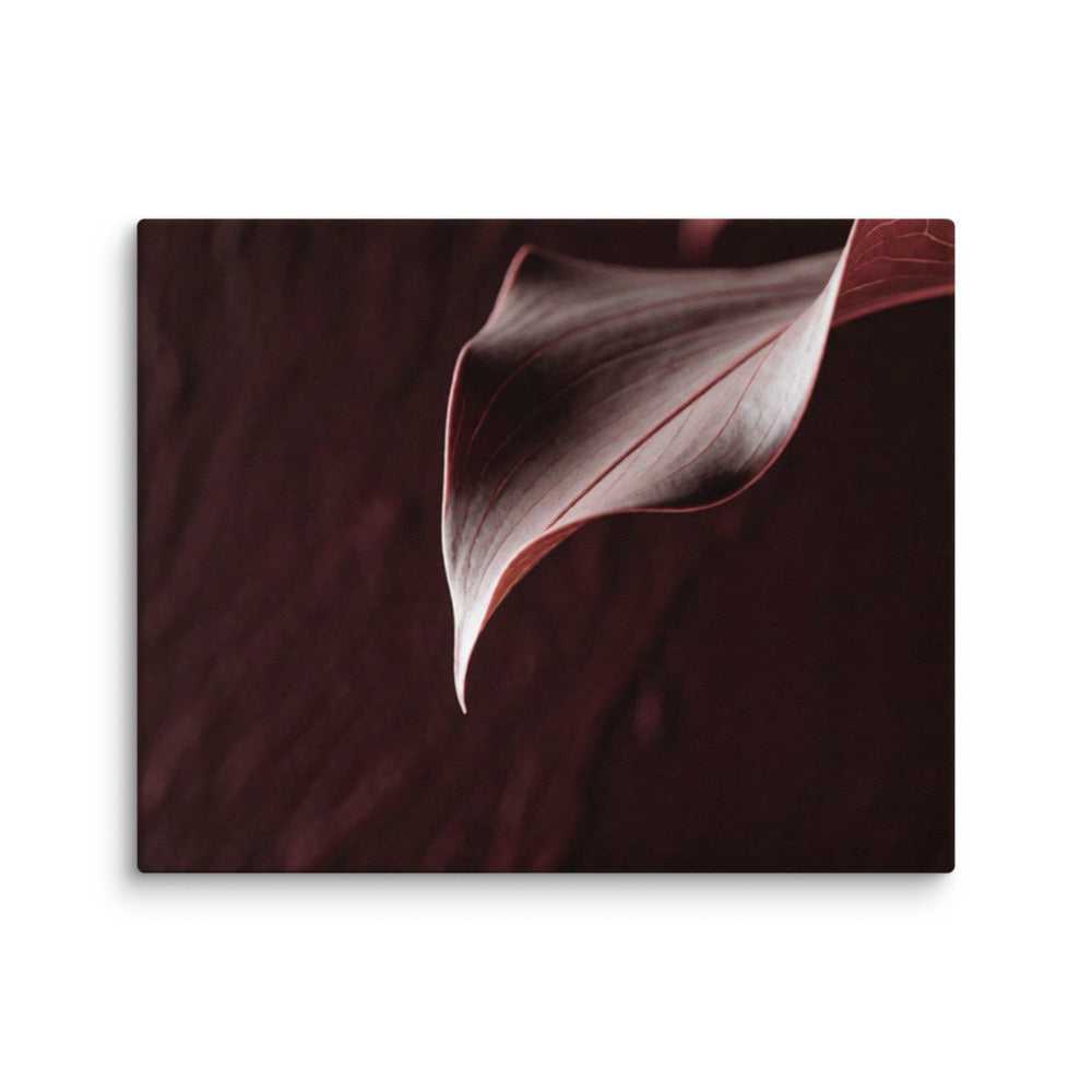 CRU — Canvas, 16×20