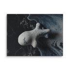 ASTEROID — Canvas, 30×40