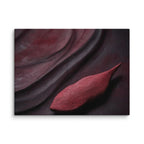 CASK — Canvas, 30×40