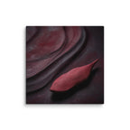 CASK — Canvas, 36×36