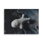 ASTEROID — Canvas, 40×55