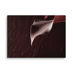 CRU — Canvas, 40×55