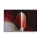 AMPHORA — Canvas, 40×60