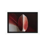 AMPHORA — Framed Canvas, Black, 12×18