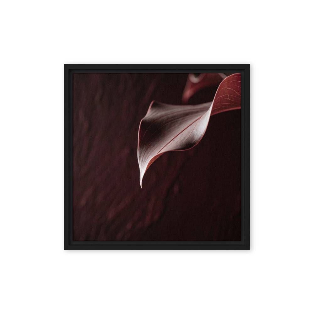 CRU — Framed Canvas, Black, 16×16