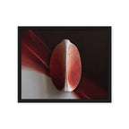 AMPHORA — Framed Canvas, Black, 16×20