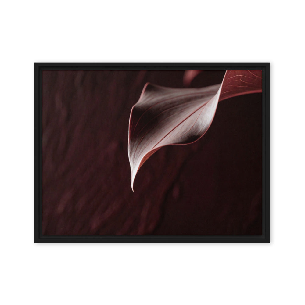 CRU — Framed Canvas, Black, 18×24