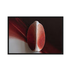 AMPHORA — Framed Canvas, Black, 24×36