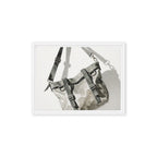 FERRULE — Framed Canvas, White, 12×16