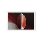 AMPHORA — Framed Canvas, White, 12×18