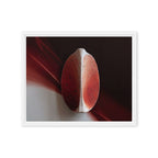 AMPHORA — Framed Canvas, White, 16×20