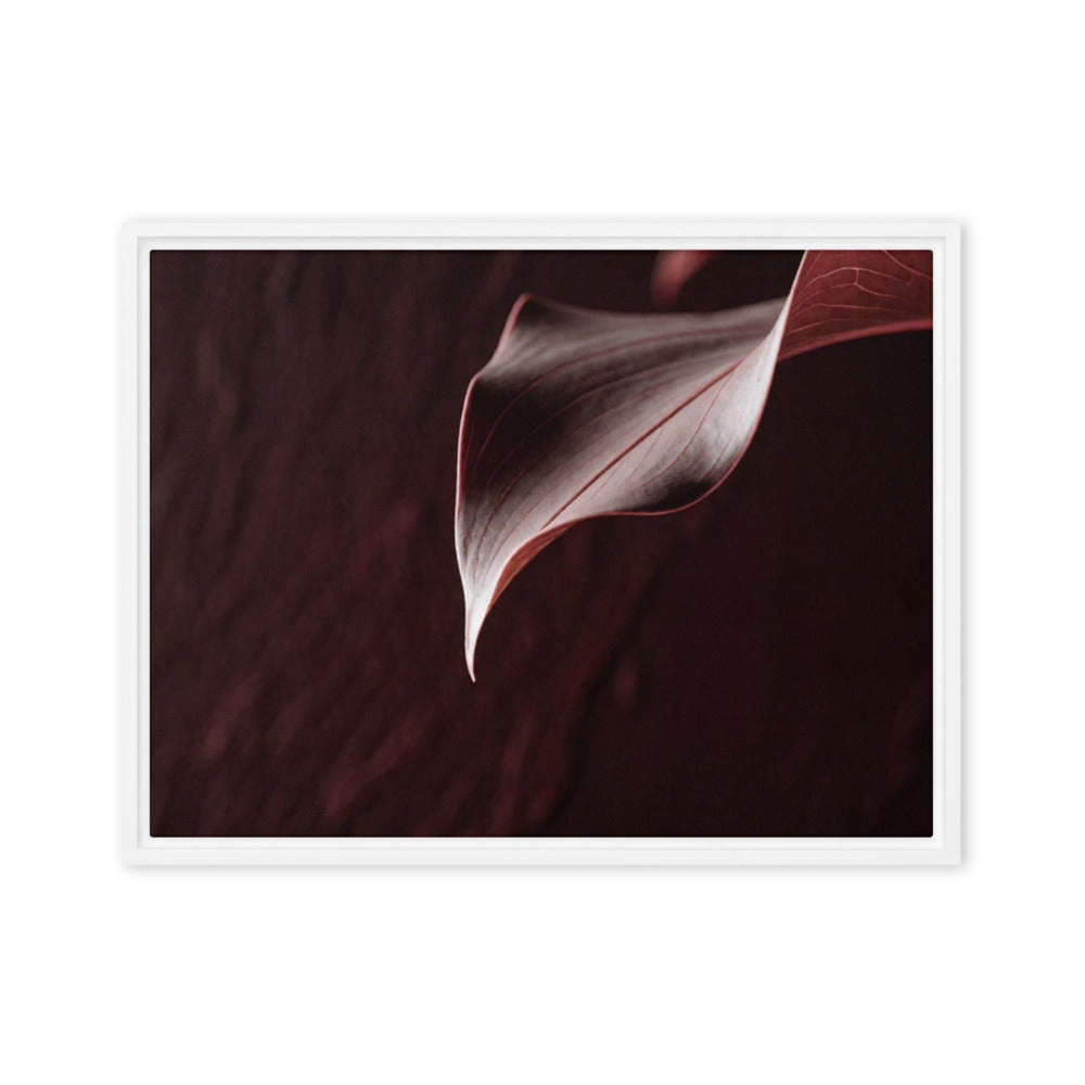 CRU — Framed Canvas, White, 18×24