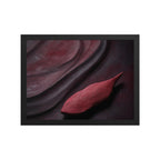 CASK — Framed Paper, Black, 12×16