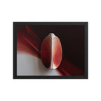 AMPHORA — Framed Paper, Black, 12×16
