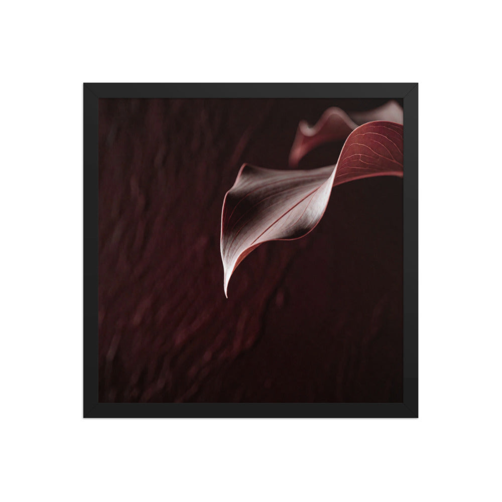 CRU — Framed Paper, Black, 16×16