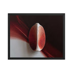 AMPHORA — Framed Paper, Black, 16×20