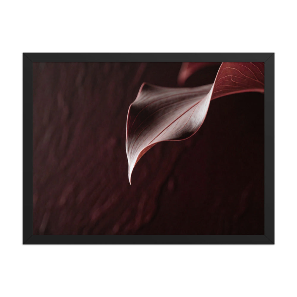 CRU — Framed Paper, Black, 18×24