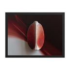 AMPHORA — Framed Paper, Black, 18×24
