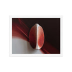 AMPHORA — Framed Paper, White, 12×16