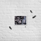 MB CANVAS ABSTRACT WALL ART PRODUCT MOCKUP