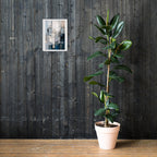 MB CANVAS ABSTRACT WALL ART PRODUCT MOCKUP