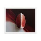 AMPHORA — Framed Paper, White, 16×20