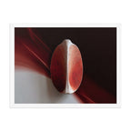 AMPHORA — Framed Paper, White, 18×24